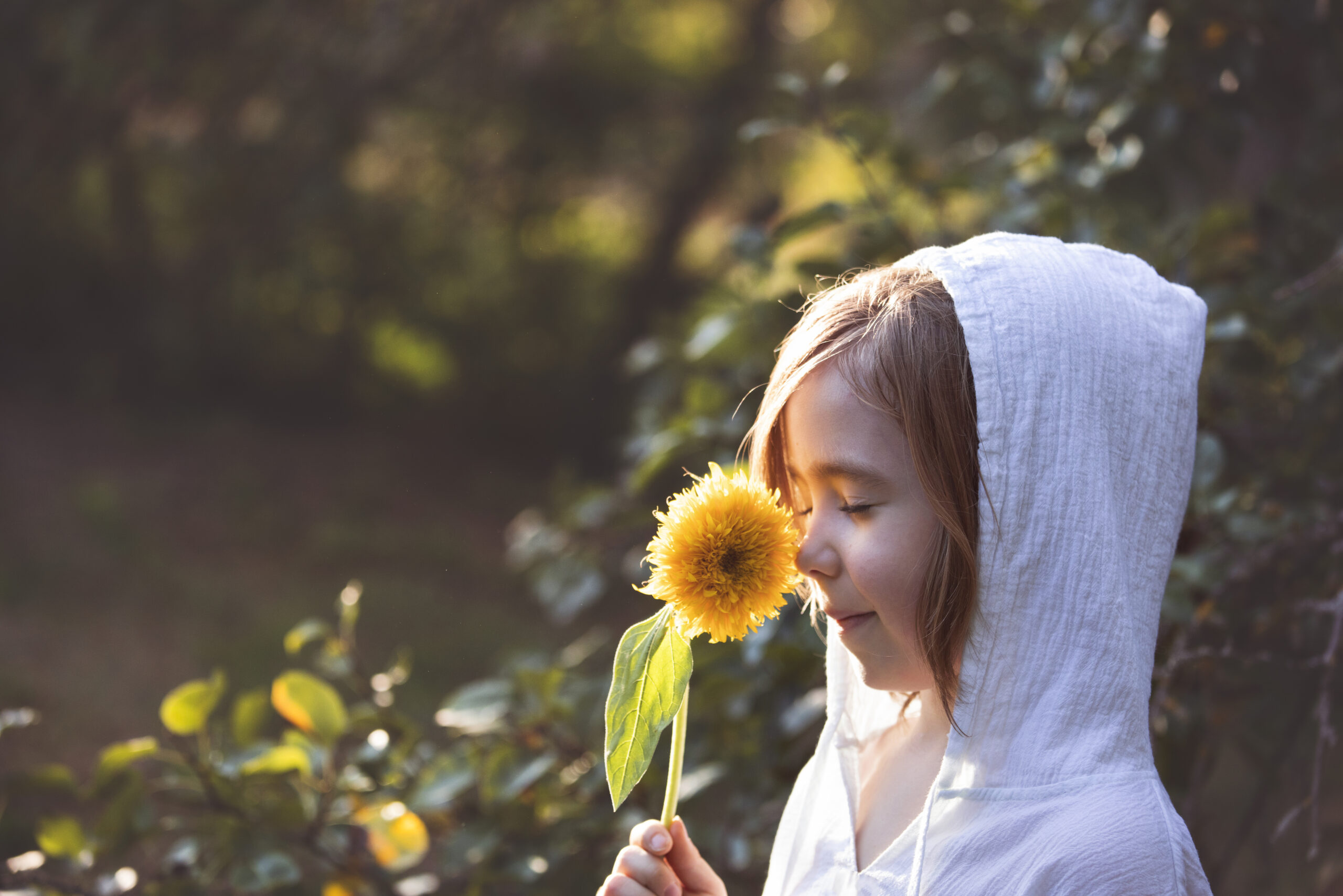 Kind riecht achtsam an einer Sonnenblume – Symbolbild für authentisch sein in Beziehungen